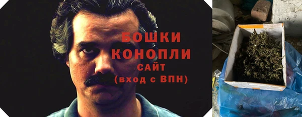 гидра Белоозёрский