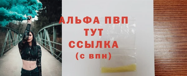 spice Белокуриха