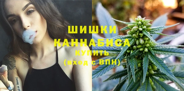 гидра Белоозёрский