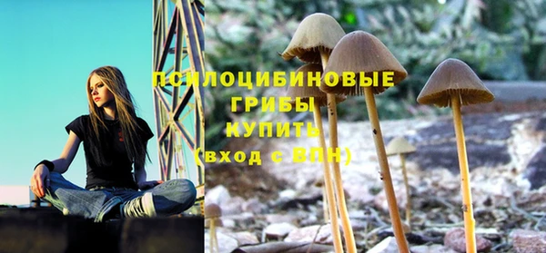 гидра Белоозёрский