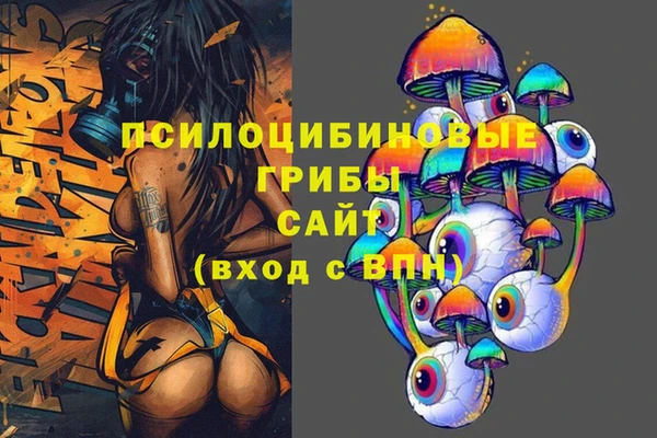 spice Белокуриха