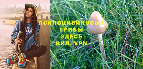 spice Белокуриха
