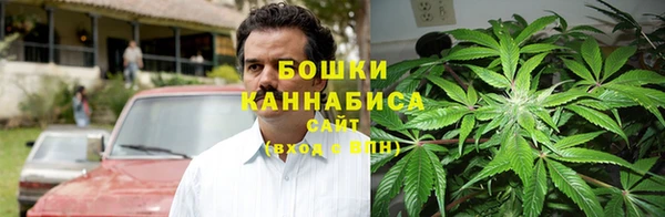 spice Белокуриха