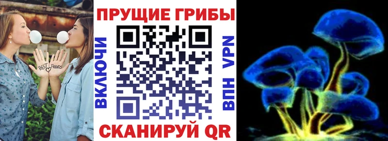 Галлюциногенные грибы мухоморы  как найти закладки  Михайлов 
