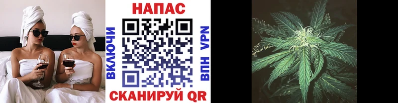 Шишки марихуана семена  Михайлов 